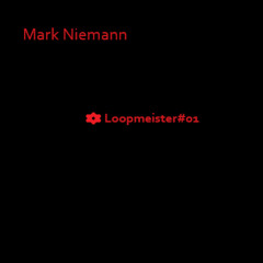 Mark Niemann - Loopmeister#01