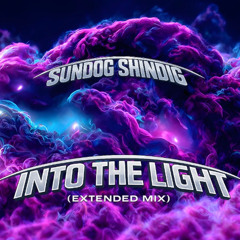 INTO THE LIGHT CLUB MIX EXPERIMENTAL