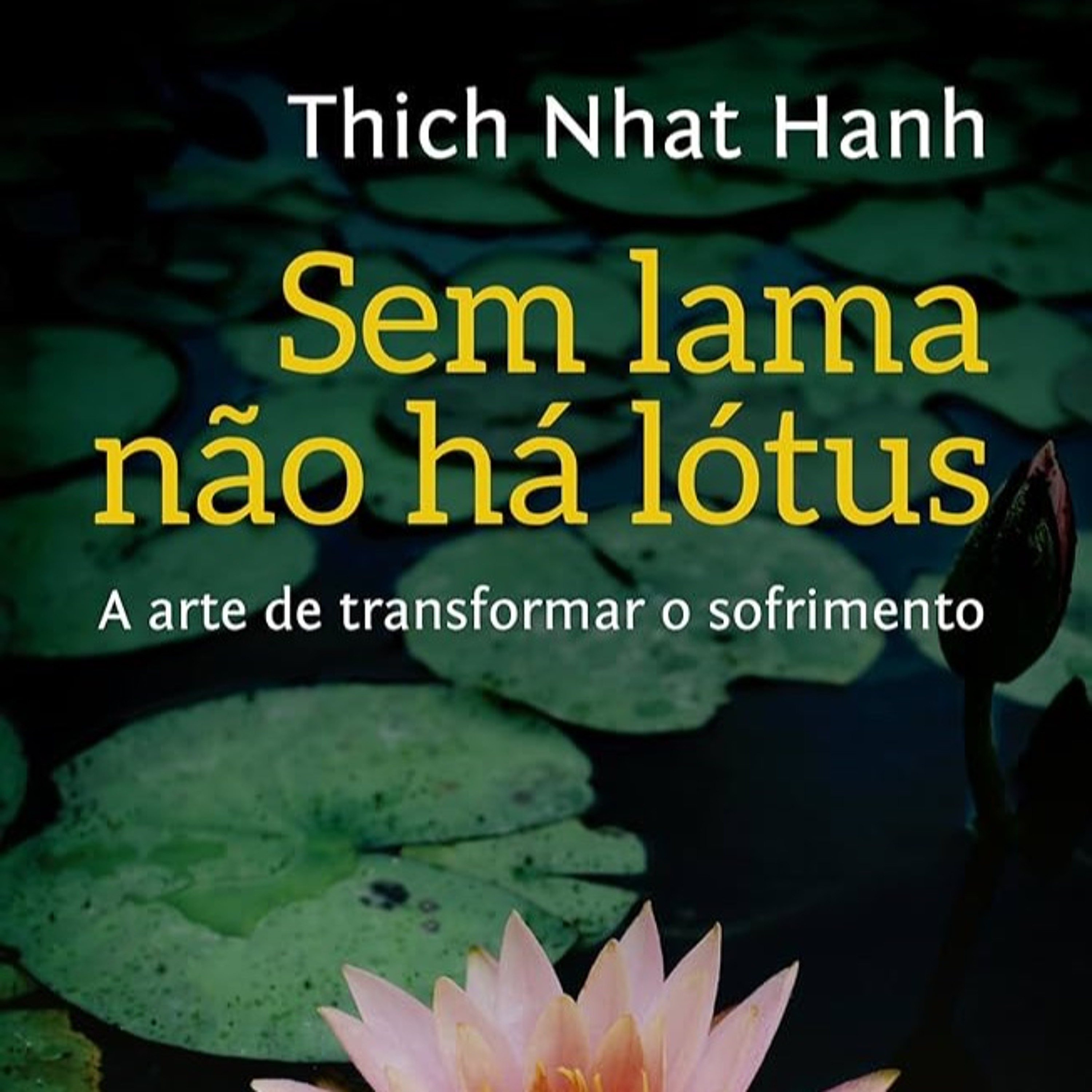 #594 Enrosco. Sem Lama Não Há Lótus, Ep.04