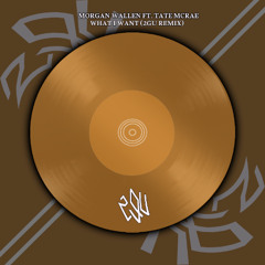 Morgan Wallen ft. Tate McRae - What I Want (2GU Remix)