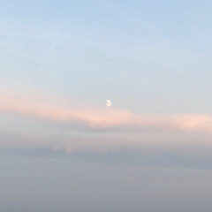 Always Remember Us This Way (Cover)