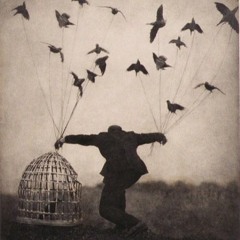 FLY HIGH  (Alfonso Llorente)