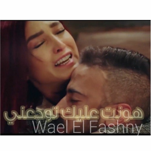 هونت عليك | Hount Aleik | Wael El Fashny