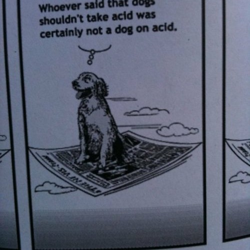 strez-voxallRMX (yUGz extended edition)