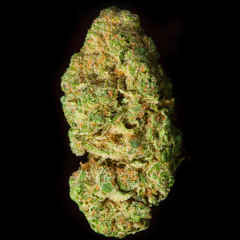 Smoke The Herb ft. Guinney Pepper (Virgo Jungle Dub)