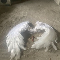 fallen angel within @novemblur