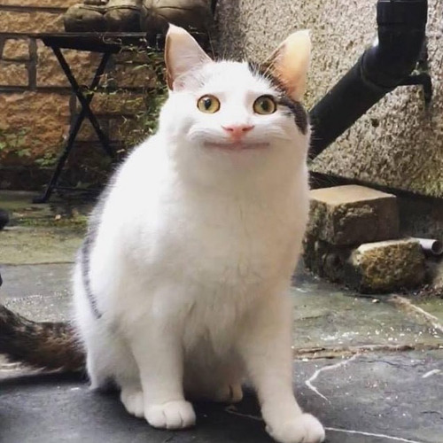 Angel ( Em Chưa Bao Giờ Là Xấu ) - MCWIZ | Prod. Boyzed