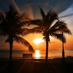 Escape to the Coast