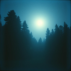 Celestial Reverie