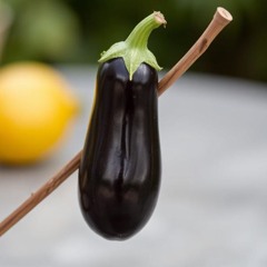 D**k on A Stick