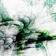 Strange But Beautiful Forest Swamp