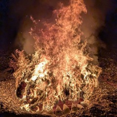 Born to Burn