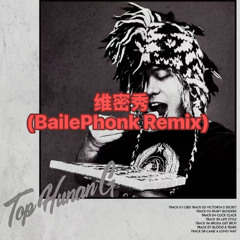 维密秀(DJ Gambler BailePhonk Remix)