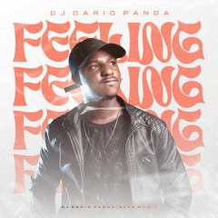 DJ Dario Panda - Feeling (Original Mix).mp3
