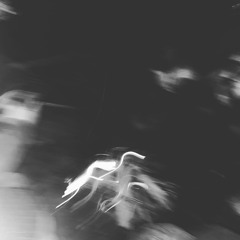 Edlonoir - Hari Ini Makan Sayur Lodeh