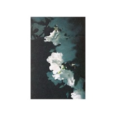 DC Promo Tracks: Nørus "Innature, part I"