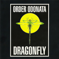 [Goa Trance] Essential Guide To Dragonfly Records (1993-1998)