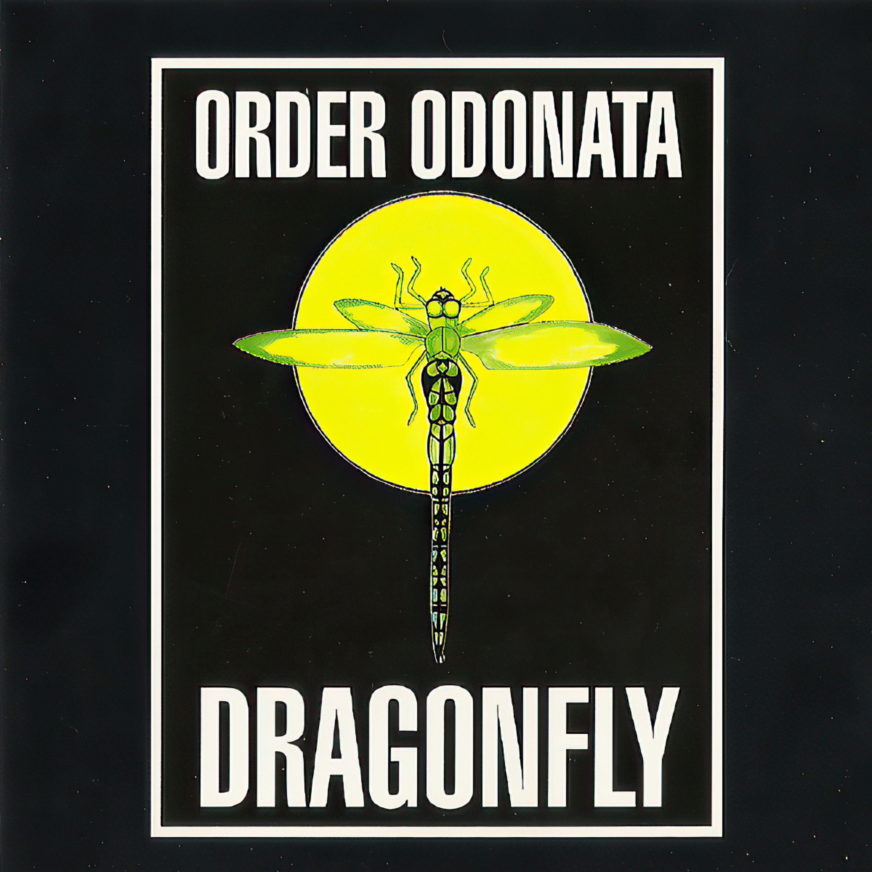 [Goa Trance] Essential Guide To Dragonfly Records (1993-1998) episode artwork