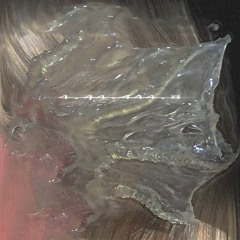 4.44.444.8 - XERXER XBX