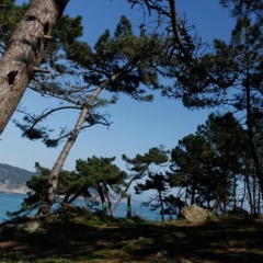 Le rêve que tu feras cette nuit.