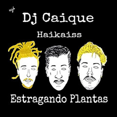 Estragando Plantas (feat. Haikaiss)