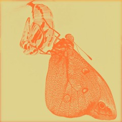 Pista de corrida elíptica