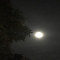 a11n1ghtlong (prod. khail)