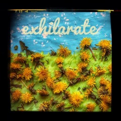 Exhilarate