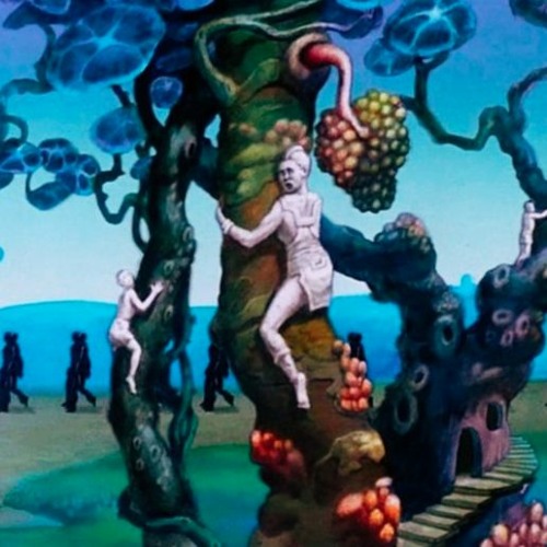 STroll in the STrange foreST