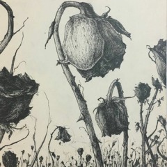 Cruel WRZLD (prod. Vader x Lowrenz)