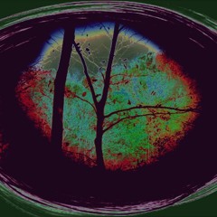 Digression Progression