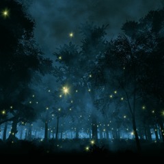Dancing With Fireflies