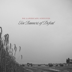 No Landscape Survives - Ten Banners of Defeat (Preview) / OUT NOW