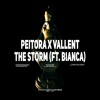 Peitora X Vallent Feat. Bianca - The Storm [OUT NOW]
