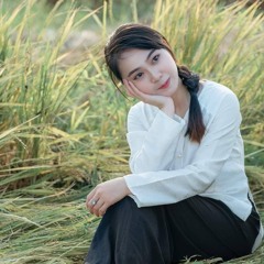 Nghĩa tình đậm sâu (Nguyễn Phi Hải) - Nninh2k remix