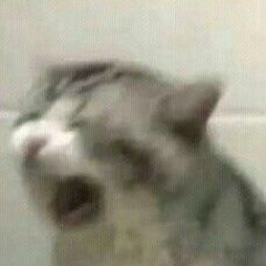 Flannyr-Как мы познакомились