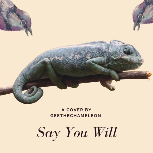 Say You Will (Cover/Freestyle)