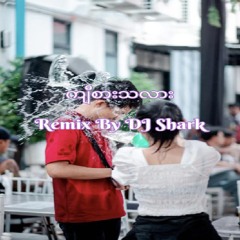 DJ Shark-Gyee Sar Dar Larr_Remix