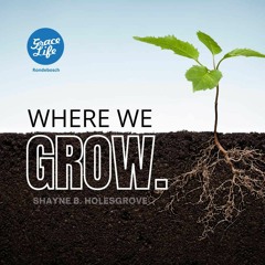 Where We Grow - Shayne Holesgrove (Rondebosch)