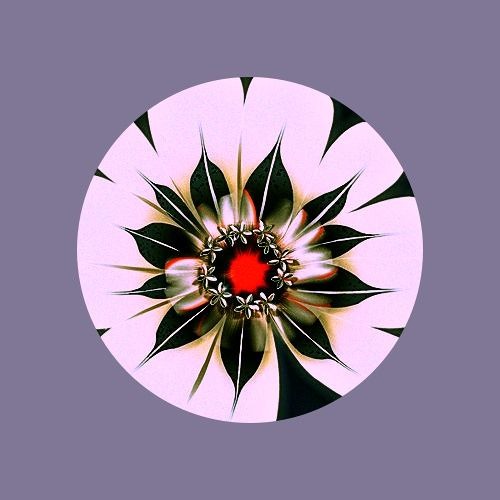 WondaGurl-OCEANS (SHAMANDAMIN Remix)