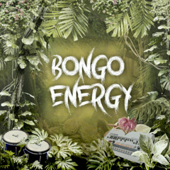 Bongo Energy FREE DOWNLOAD