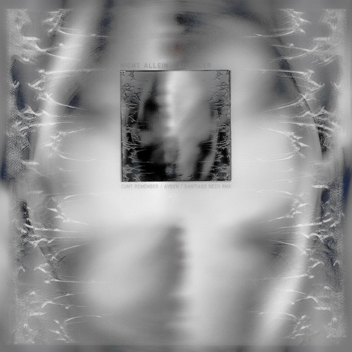 premiere: cunt remember x aveen - dahinter [silencer]
