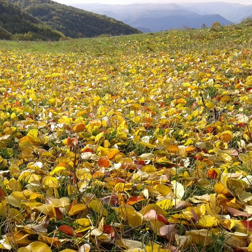 dreamdance - Smooth And Move Mix (09-11-2022)