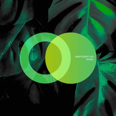 Indifferent Guy - Signal (Original Mix) [Area Verde]