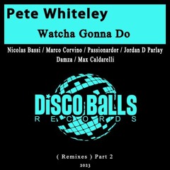Pete Whiteley - Watcha Gonna Do (Passionardor Extended House Mix) -snippet -  10Feb2023