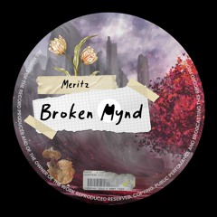 PREMIERE: Meritz - Broken Mynd
