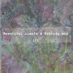 Beautiful plants Mix
