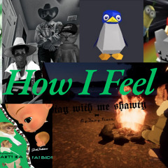 How I Feel