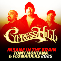 Cypress Hill - Insane In The Brain (Tomy Montana , Flowriders 2025)