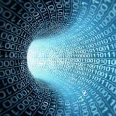 data1010